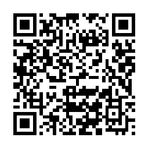 这些的确真实发生在威尼斯的新闻对话也被一一发回国内二维码生成