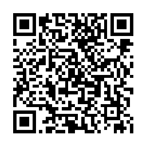 这些石头都是那个年轻人在废石堆里扒翻出来的二维码生成