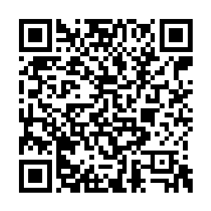 这些破碎大陆加起来才和上元大陆的面积差不多二维码生成