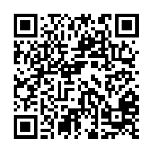 这些礼物我们明天和进献的东西一起送进宫好不好二维码生成