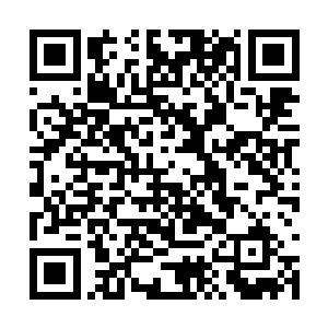 这些神丹想必是另外三大家族拍卖所得的丹云神丹二维码生成