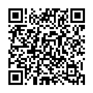这些神物就自然成了为了这个世界的主权象征和控制枢纽二维码生成