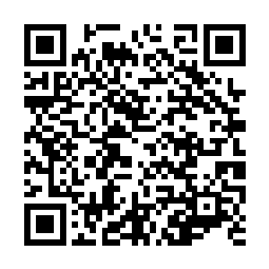 这些神识全都被紫气和张潇晗的神识压制在识海内二维码生成