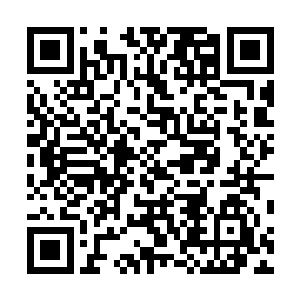 这些禁制就算是比起外面金字塔顶端的禁制都要强上不少二维码生成