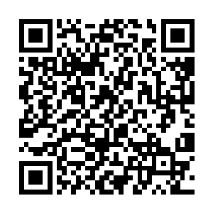 这些种兔之所以会发病绝不是因为种兔的质量的问题二维码生成