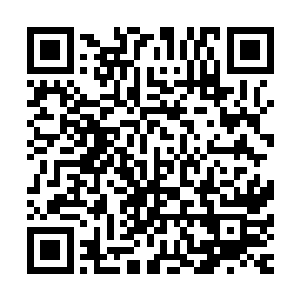 这些种兔都是赵县长亲自带着县畜牧局的领导引进的优良品种二维码生成