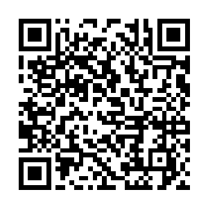 这些秘法之中有一门血魂寺修炼精神力的珍贵秘法二维码生成