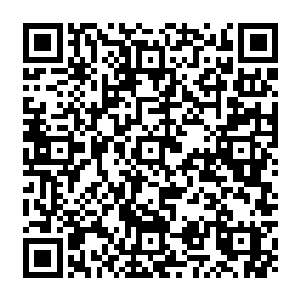 这些类似蚯蚓的东西从这个人的身体之中爬出来过后便是迅速的化为了灰色的灰烬二维码生成