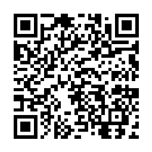 这些精英军人对于军体拳或者持械打斗的基本技能是没有问题的二维码生成