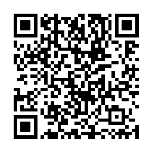 这些红色的石头全部都是被那些野兽血液所浸染形成的二维码生成