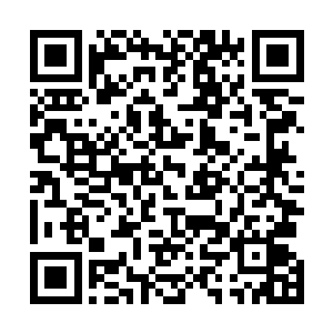 这些纯朴的庄稼人看到自己半年的辛苦成果就要付诸东流二维码生成