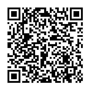 这些绒毛和小肠的把你吃下去的肉块变成我们身体行动所需的动力二维码生成