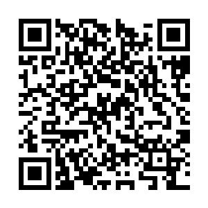 这些老母鸡你送给敬老院去给那些老爷爷老奶奶吧二维码生成