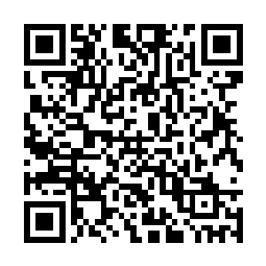 这些能够掌握住一个庞大家主的人哪一个不是人精二维码生成