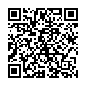 这些能量乱流随时可能会如同之前小魔仙遭遇的狱火那样二维码生成