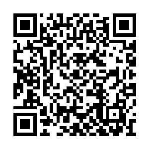 这些能量光点全部都是从投票者的投票器中喷出二维码生成