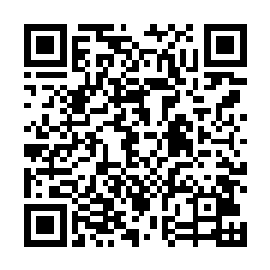 这些节目都是前几天那几场预赛中精挑细选脱颖而出的二维码生成