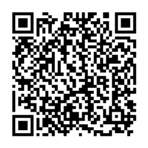 这些草药都是许紫烟从苍茫大陆上开始一直到中元星系积累起来的二维码生成