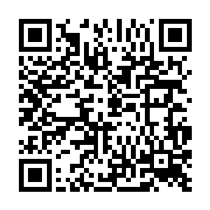 这些药品是用来给雷电堂的那些战士提升战斗力用的二维码生成