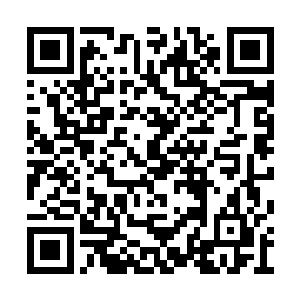 这些衣服其实其实就是酒店房间里面备着的服务二维码生成