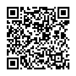 这些衣物或者常用物品里不仅有殷暖等几个主人的二维码生成
