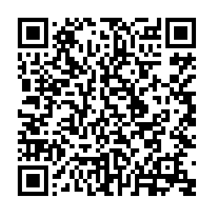 这些被他斩杀的元婴修士身上掉落的储物袋和法宝俱被他收进了青蚌壳灵宝中二维码生成