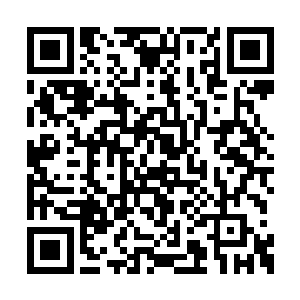 这些被召集来的金丹女修士们的日子肯定不好过二维码生成