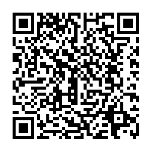 这些被放在这里守护地下城市的穿沙甲后代按理说应该已经不记得它们的主人二维码生成
