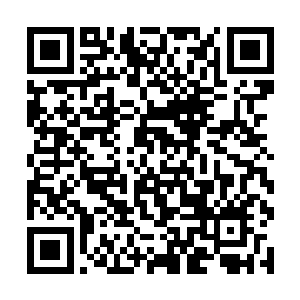 这些被血狼寄予了厚望的圣甲虫人简直就是不堪一击二维码生成