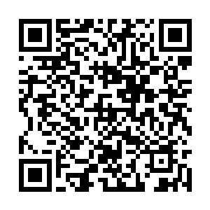 这些观众都是参加过各式各样音乐节的资深歌迷了二维码生成