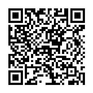 这些解灵果也是采药师们在深山野林里无意间得的二维码生成