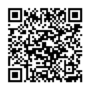 这些话一下子勾起了自己在英泽集团受的那些折磨的回忆二维码生成