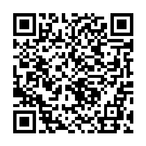 这些话由你这个人类说出口……在我看来真是莫大的讽刺二维码生成