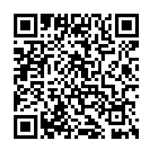 这些豪车也只是这位海盗王奢侈生活的一个缩影二维码生成