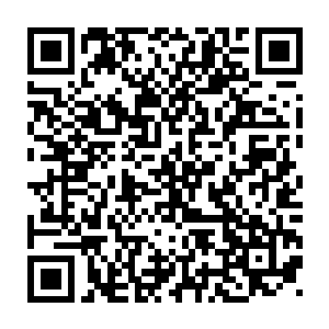 这些越来越细化的因素都要求我们作为城市规划者要有足够的前瞻姓二维码生成