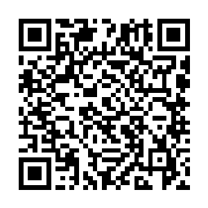 这些轮回分身实际上就是他某一世轮回时的巅峰实力二维码生成