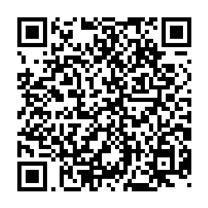 这些还收看上去就跟以前龙傲天前世见过的海生生物的放大版一样二维码生成