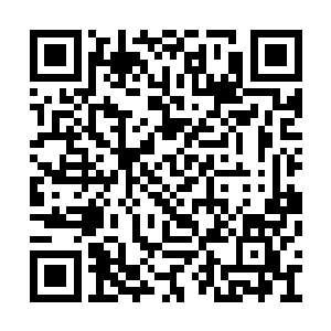 这些连一点油星儿都见不着的清汤是用多少母鸡二维码生成