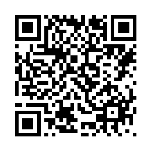 这些逻辑炸弹和数据陷阱不断碰撞二维码生成