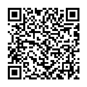 这些邪族各个修为都是堪比大罗金神大圆满的强者的二维码生成