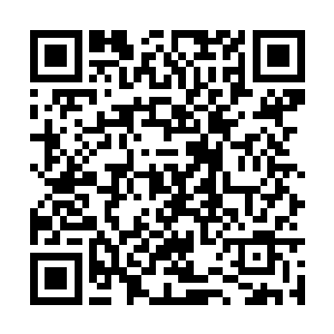 这些都是他和电视台的朋友预先设计好的一套流程二维码生成