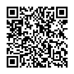 这些都是他这些年他从陨落的帝宗弟子散落的灵器和修真材料二维码生成