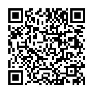 这些都是冷小野和皇甫耀阳特意为两个小家伙准备的二维码生成