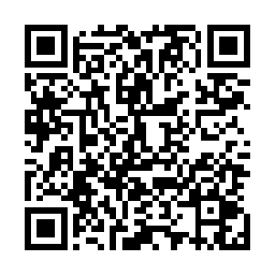 这些都是对马文本人和白河谷地的发展潜力的一份评价报告二维码生成