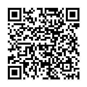 这些都是皇境圆满级别的神兽肉以及活了数万年的药材二维码生成