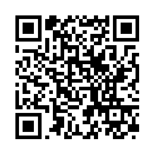 这些都是追随海盗王皮特鲁斯的海盗二维码生成