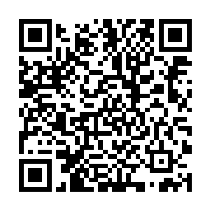 这些针……难道是刚才千面真君射向自己的那些针吗二维码生成