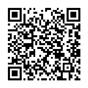 这些铁牙鬣狗也就表现得更加的暴躁和具有攻击性二维码生成