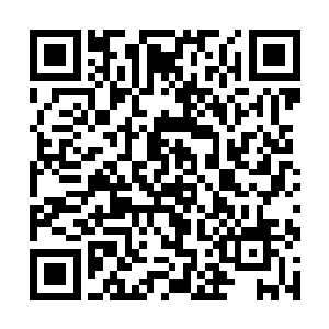 这些银色巨狼的眼睛并不如寻常狼那样绿油油的眼睛二维码生成
