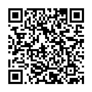 这些长着长牙和蝙蝠翅膀的家伙兜着圈子俯冲下来二维码生成